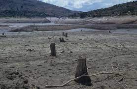 deforestation-in-Haiti